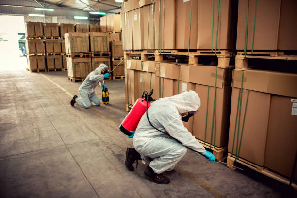 Best Pest Prevention Services  in Manchester, OH