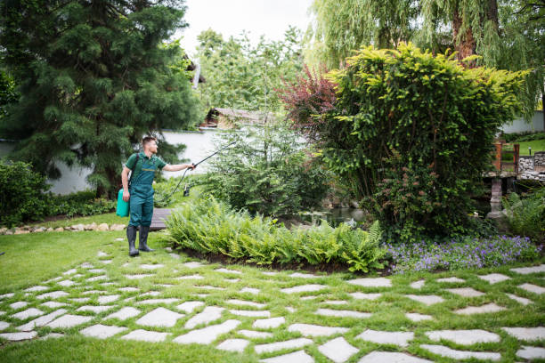 Best Pest Inspection Near Me  in Manchester, OH