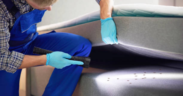 Best Pest Control Near Me  in Manchester, OH