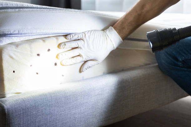 Best Best Pest Control Companies  in Manchester, OH