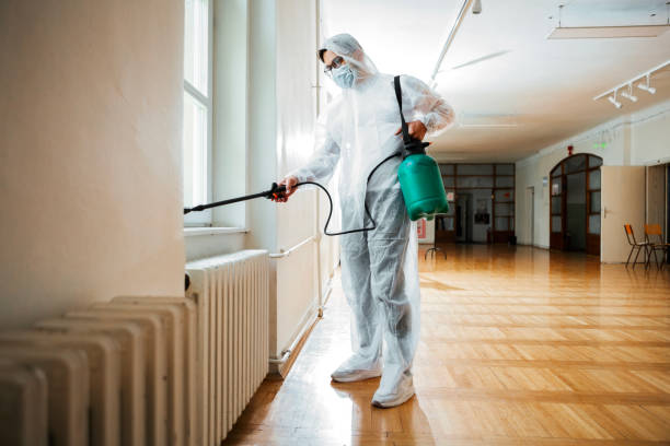 Best Flea Control Services  in Manchester, OH