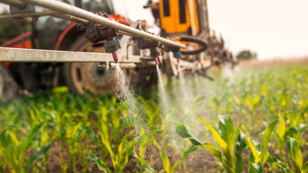 Best Commercial Pest Control Services  in Manchester, OH